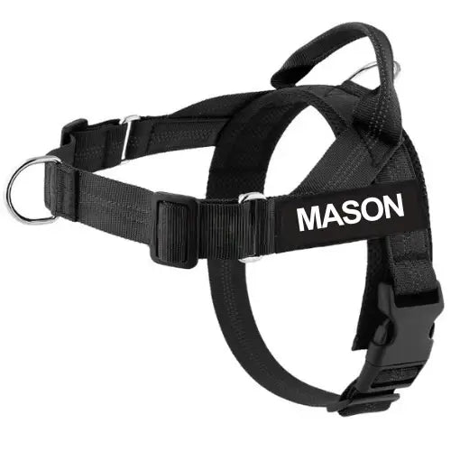 No-Pull Harness with Custom Name Tag