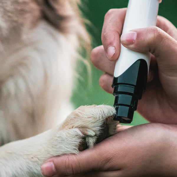Silent Paw Pro Nail Grinder