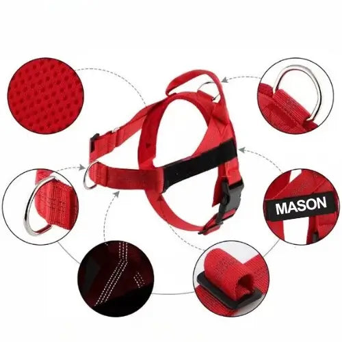 No-Pull Harness with Custom Name Tag