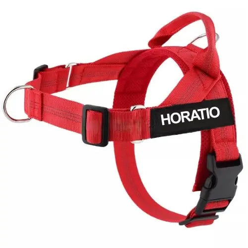 No-Pull Harness with Custom Name Tag
