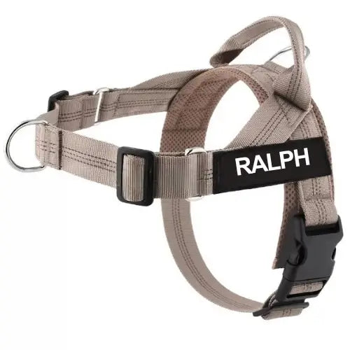 No-Pull Harness with Custom Name Tag