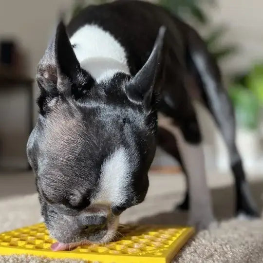 Woof Bark & Co.™ Anxiety Relief Lick Mat