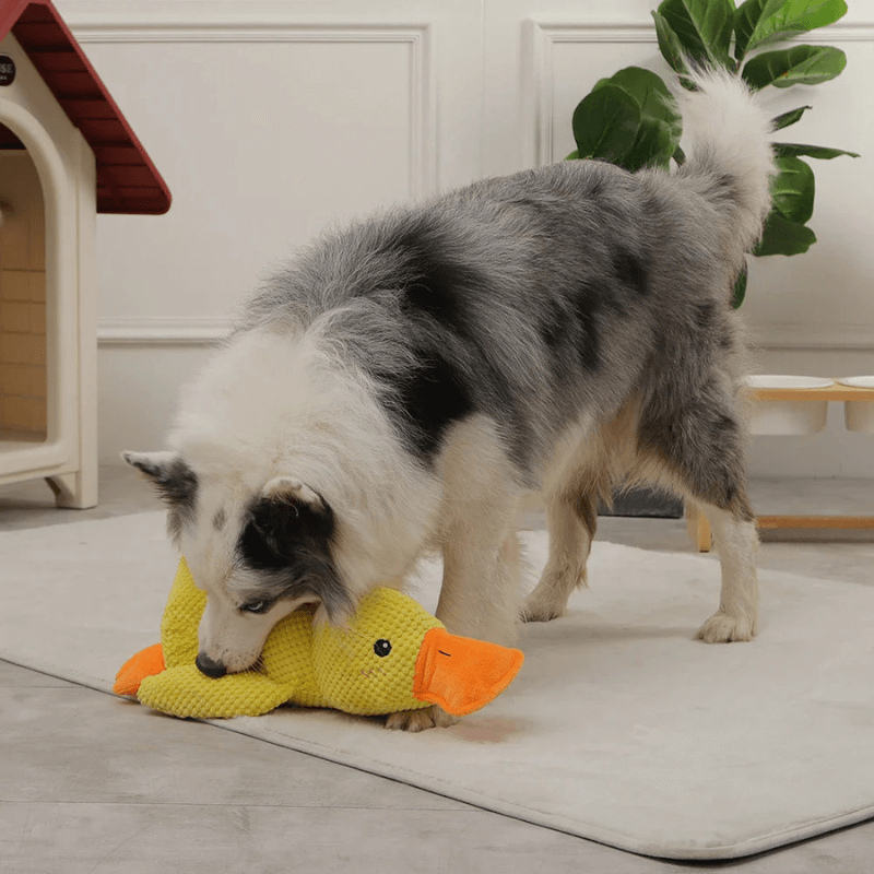 Woof Bark & Co™ Tough & Calming Plush Duck Dog Toy