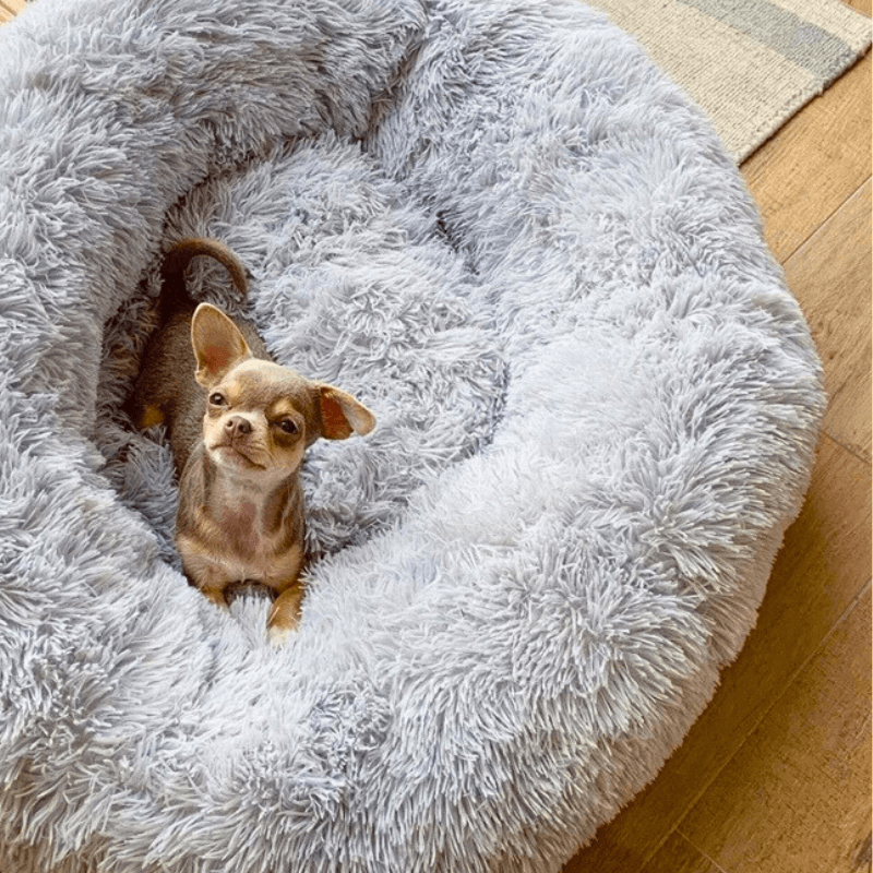 Woof Bark & Co™ Plush Calming Bed