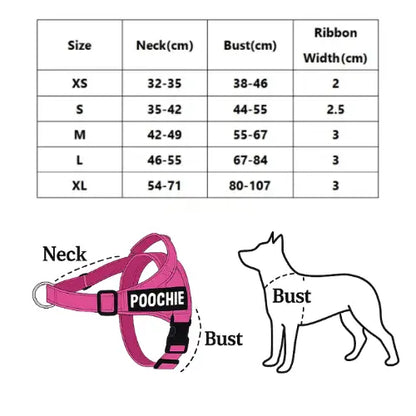 No-Pull Harness with Custom Name Tag
