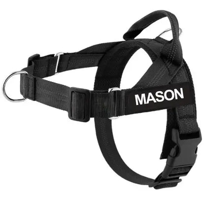 No-Pull Harness with Custom Name Tag