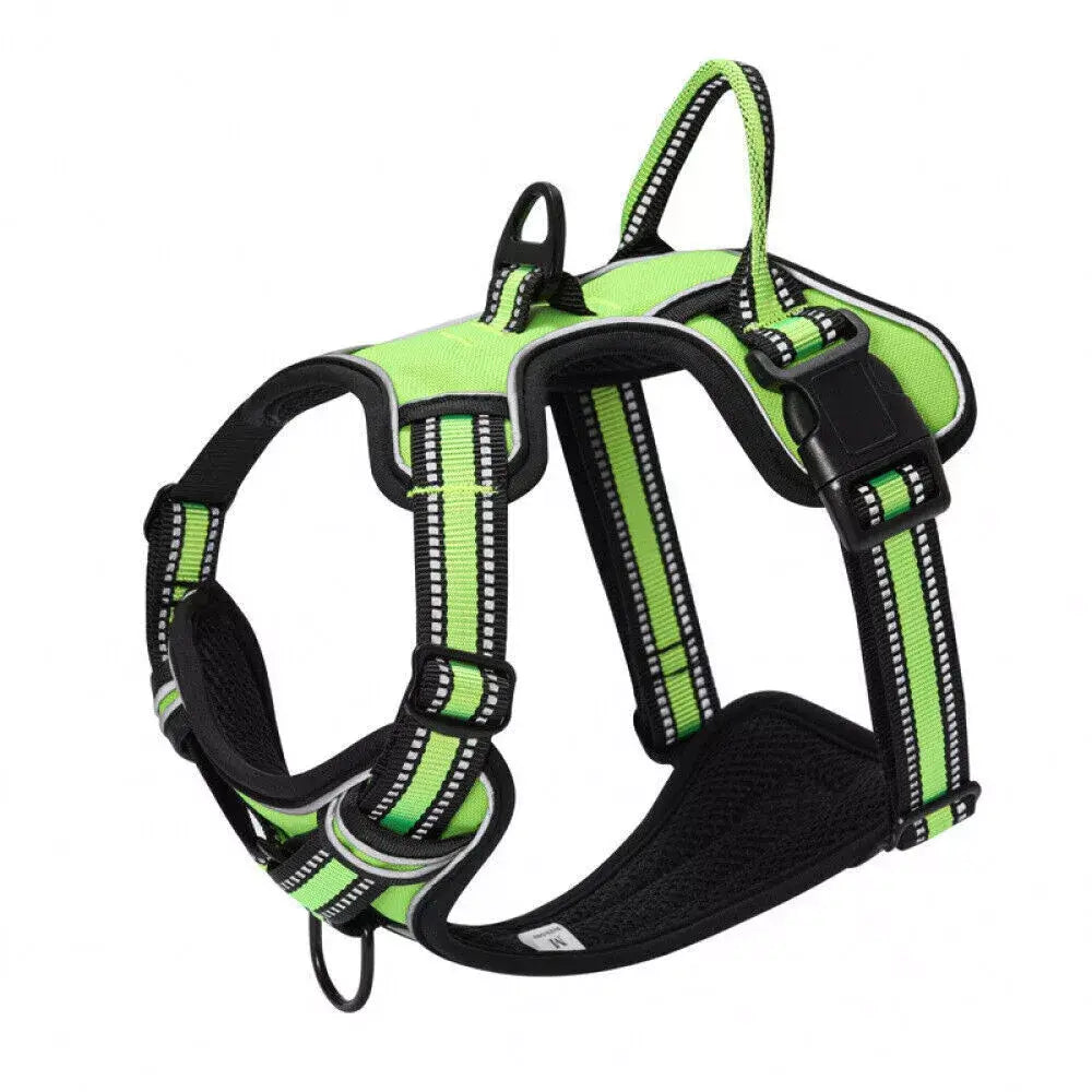 Woof Bark & Co™ No-Pull Comfort Control Dog Harness