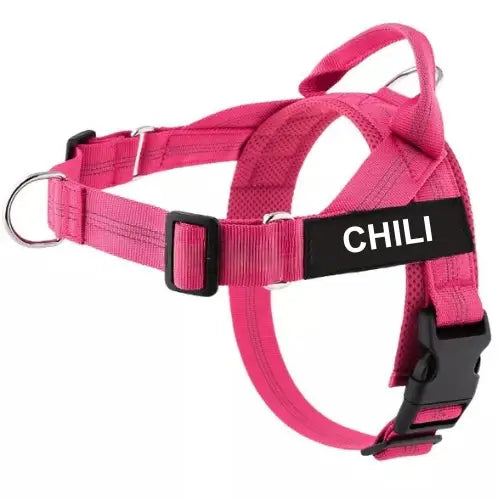 No-Pull Harness with Custom Name Tag