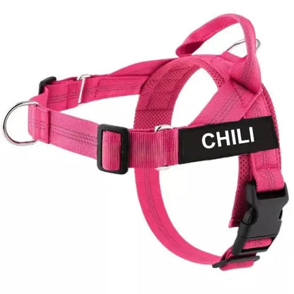 No-Pull Harness with Custom Name Tag