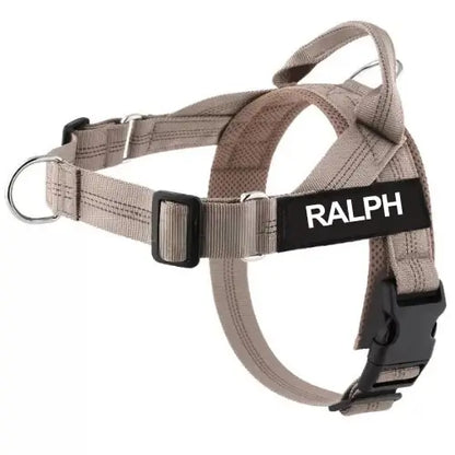 No-Pull Harness with Custom Name Tag